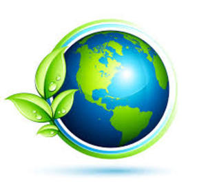 Conciencia Ecológica