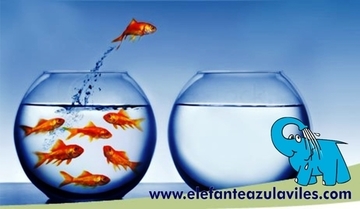 Innovar o,... ¡Innovar!
